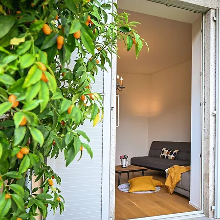 Luxury Garden In *